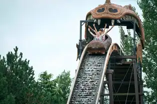 Bûches Drakkar à Walygator Sud-Ouest – © Walygator Sud-Ouest
