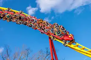 THE FLASH™: Vertical Velocity