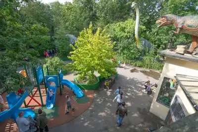 Dizzy Dino's Play Area