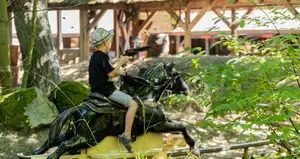 Pony Post