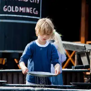 Guldgraver