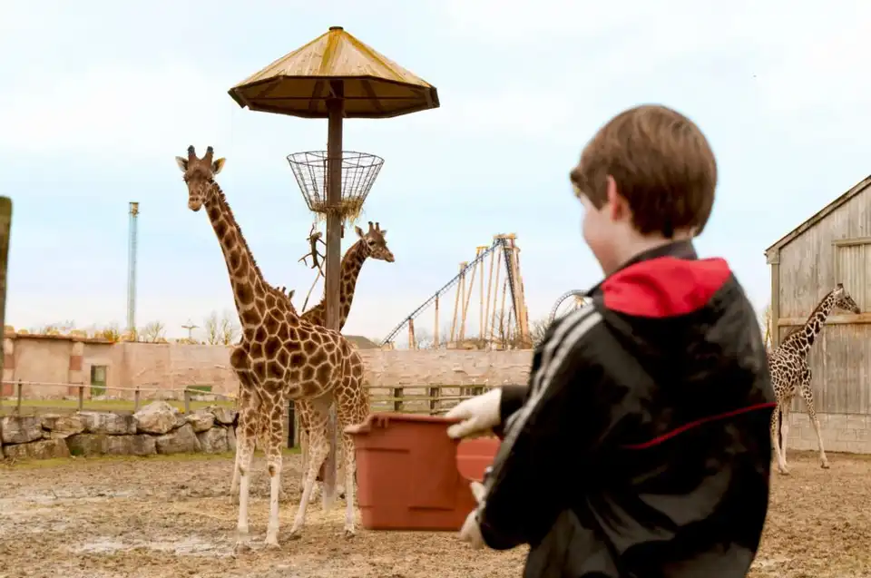 Zoo