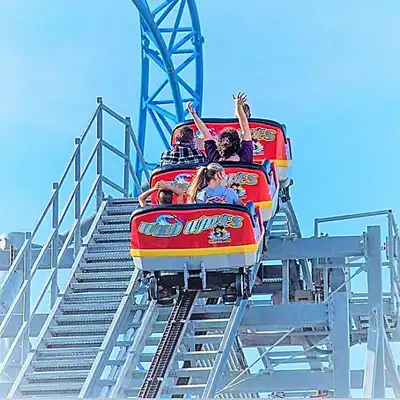 Wild Waves Coaster