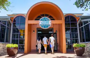 Las Tortugas Taqueria