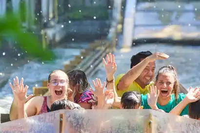 Splash