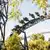 Parque de Atracciones de Madrid
