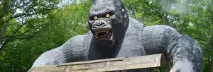King Kong