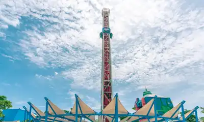 Attractions