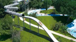 Zebra à Aqualand Saint-Cyr-sur-Mer – © Aqualand Saint-Cyr-sur-Mer