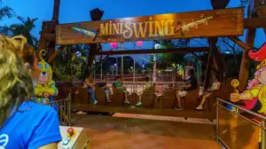 Mini Swing