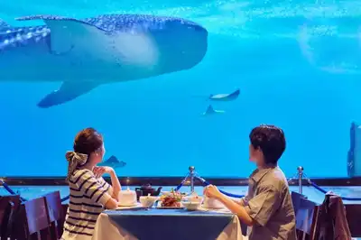 Restaurants