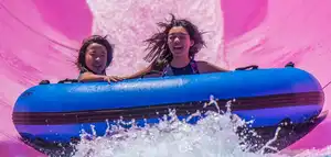 The Plunge