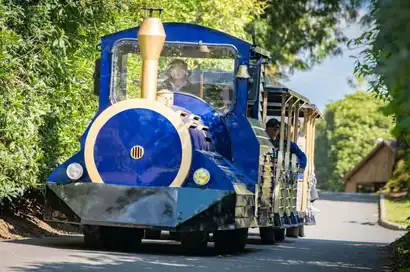 Train touristique