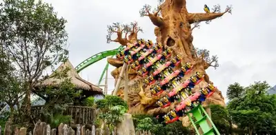 Attractions