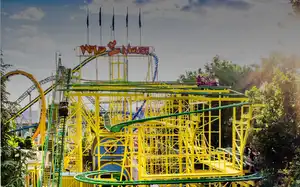 Wild Mouse