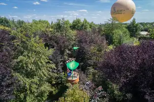 Coquilles de noix et ballon captif à Terra Botanica – © Terra Botanica