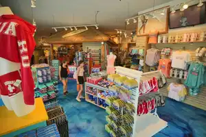 Tradewinds