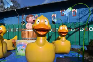 Dizzy Ducks