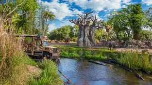 Kilimanjaro Safaris à Disney's Animal Kingdom — © Walt Disney World