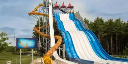 Adrenaline