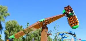Soaring Timbers