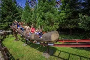 La Ronde des Rondins