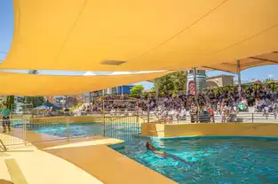 Arène du spectacle des otaries à Conny-Land — © Conny-Land