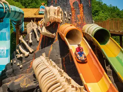 DinoSplash
