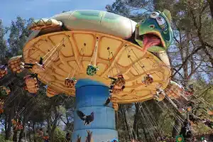 Flying Turtle