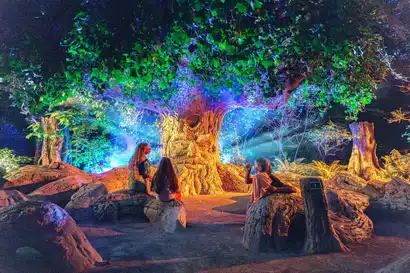 Terra Nocta 2026 : un nouveau tableau autour de l'eau illumine les soirées de Terra Botanica jusqu'au 31 octobre