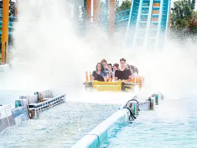 Attractions