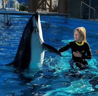 Interaction avec un dauphin à SeaWorld San Antonio — © SeaWorld San Antonio