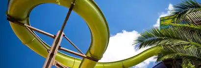 Kiwi Curl