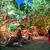 Terra Botanica