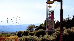Funivia