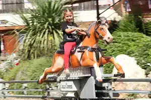 Pony Express