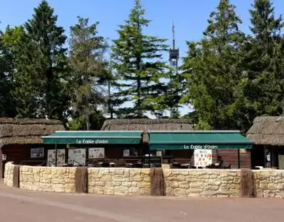 Restaurants