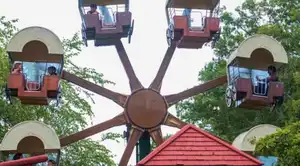 Porky Pig Camp Wagons