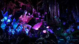 Pandora – The World of Avatar à Disney's Animal Kingdom — © Walt Disney World