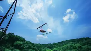 Titan’s Swing à Junglia Okinawa — © Junglia Okinawa