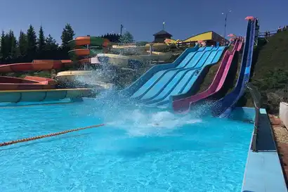 Free Fall