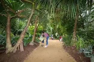 Serre tropicale à Terra Botanica – © Terra Botanica