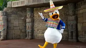 Meet One of the Three Caballeros in Mexico